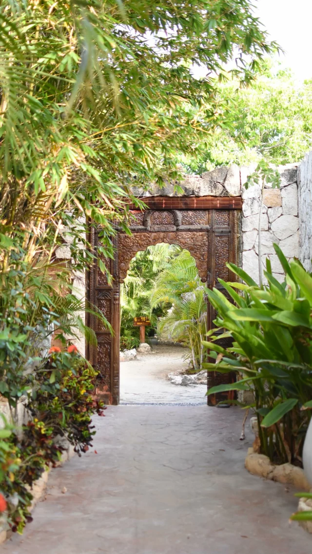 🛁✨ Je prenais mon bain sur la terrasse de @glampingserenity… et là, surprise : un invité inattendu ! Vous l’avez reconnu ?! 🐾👇

➡️ Spoiler : ce n’était pas un moustique… 🦟

#glamping #glampingmexico #serenityglamping #tulum #tulummexico #glampingtulum #travelling #tourlane #rivieramexicana #voyagemexique